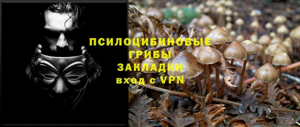 хмурый Балахна